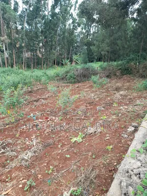 Thindigua Development Land for Sale