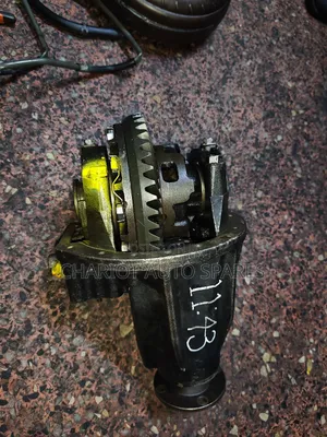 Vigo Back Diff With Switch