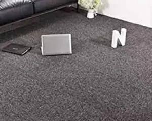 Bedroom Wall to Wall Delta Carpet