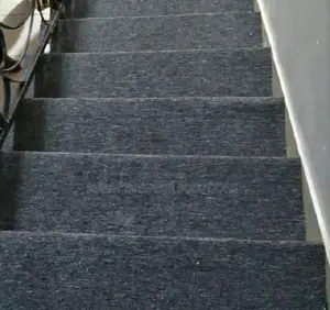 Staircase Delta Carpet
