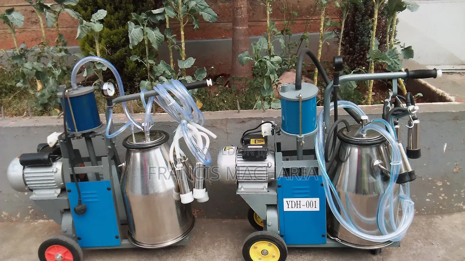 Single Drum Fast Hygienic Milking Machine