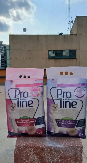 Cat Litter