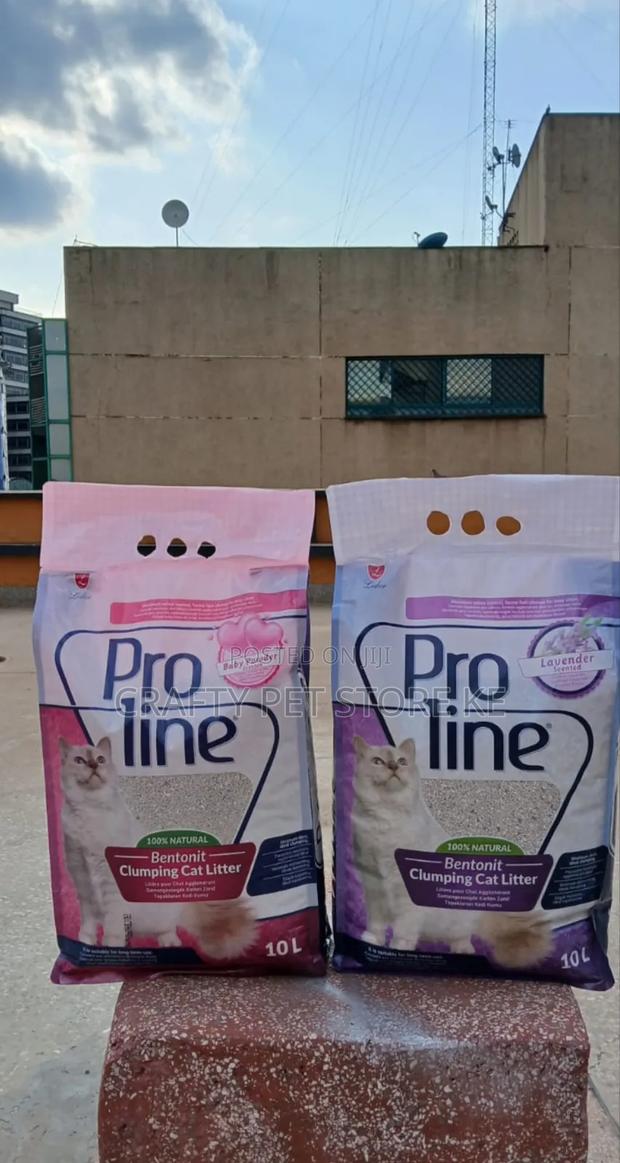 Cat Litter - main view