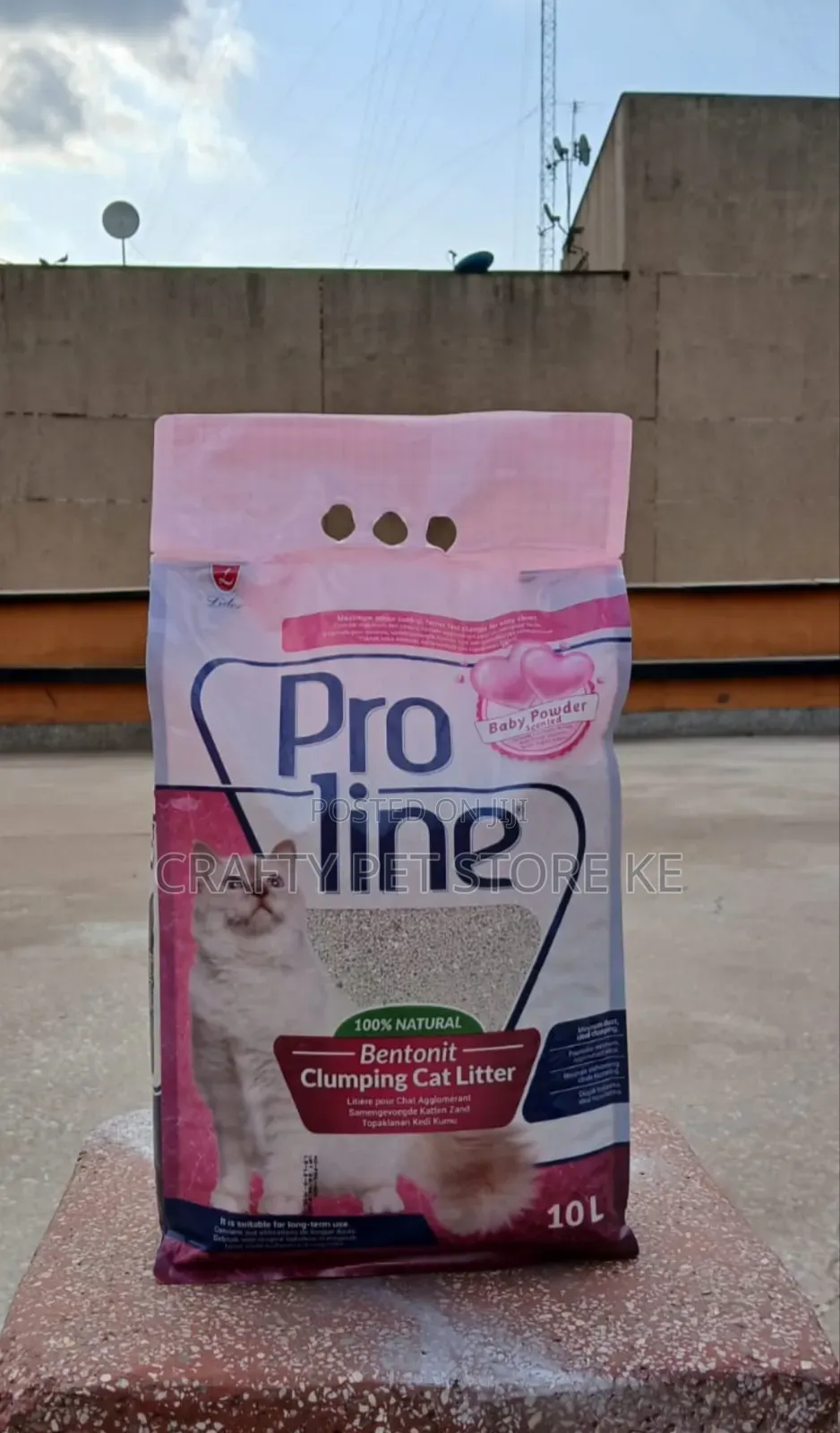 Cat Litter