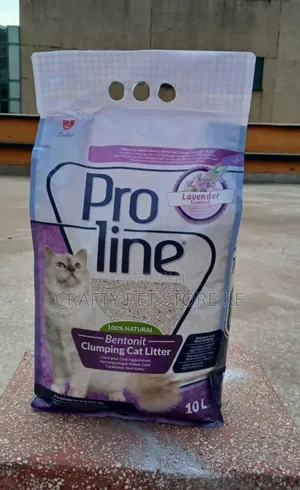 Cat Litter