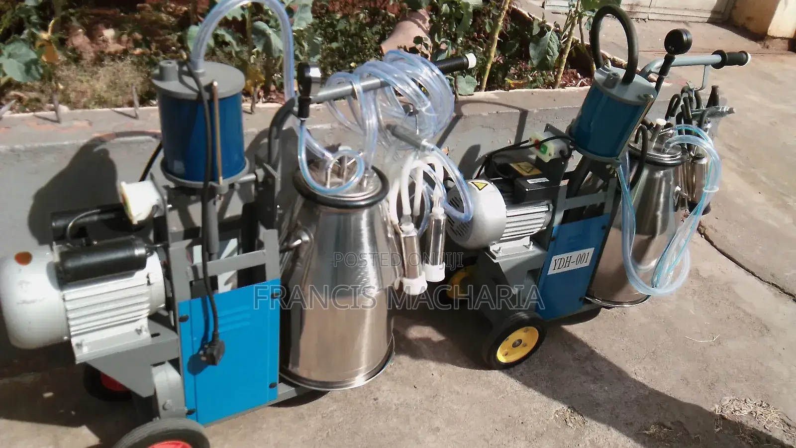Single Barrel Milking Machine
