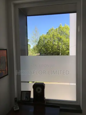 Top-Selling Frosted Film_ Home Office Use