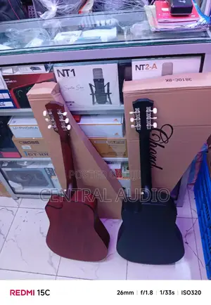 Acoustic Guitar
