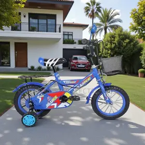 12 Inch Kids Bike Colorful Design Sturdy Frame Basket Training Wheels