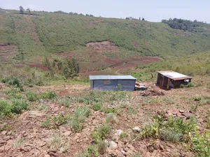 Plot for Sale in Riat
