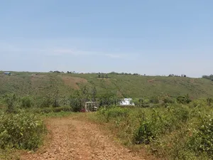 Plot for Sale in Riat