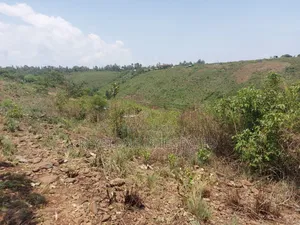 Plot for Sale in Riat
