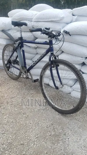 Ex Uk Alpine Stars Bike