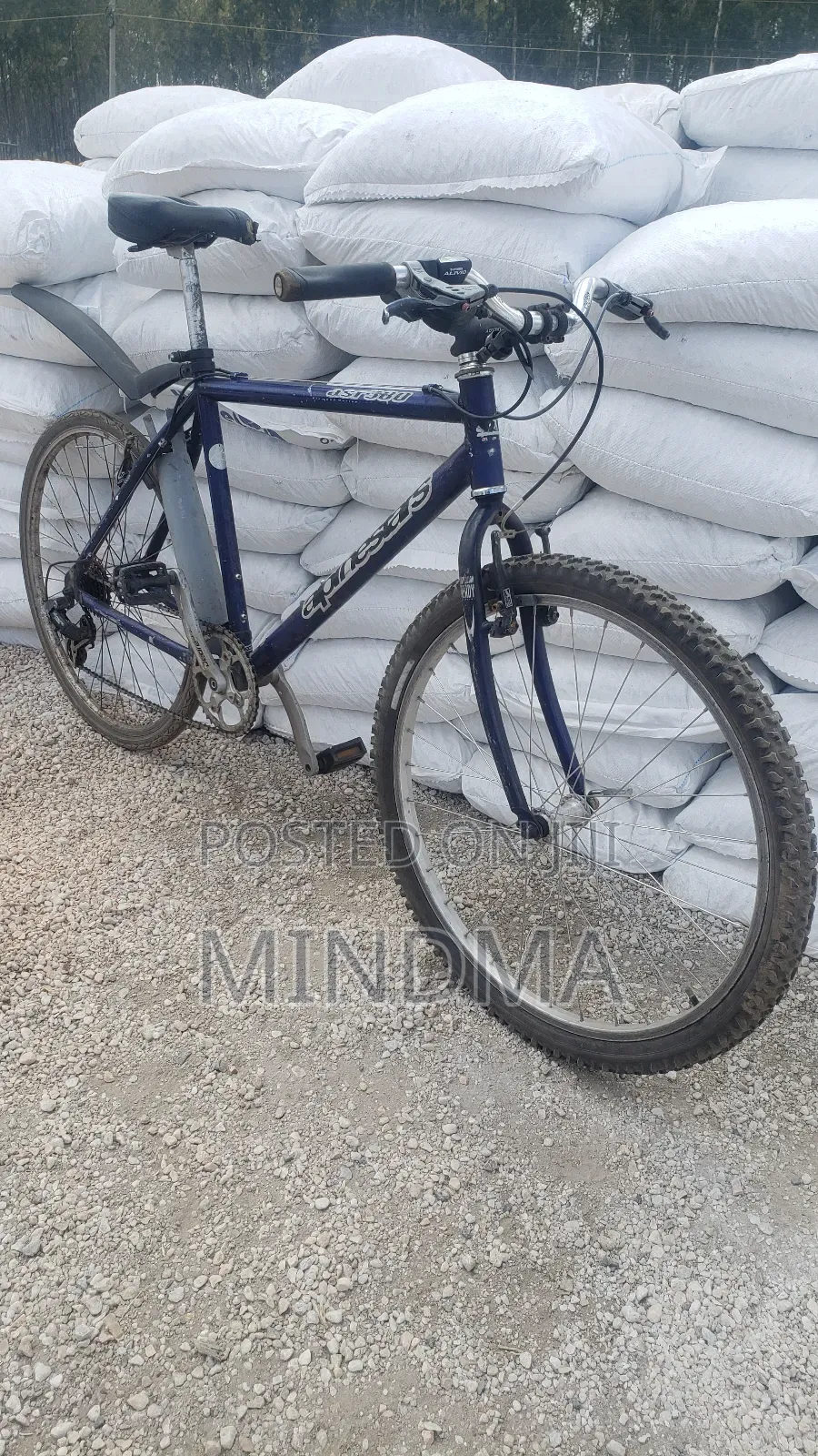 Ex Uk Alpine Stars Bike