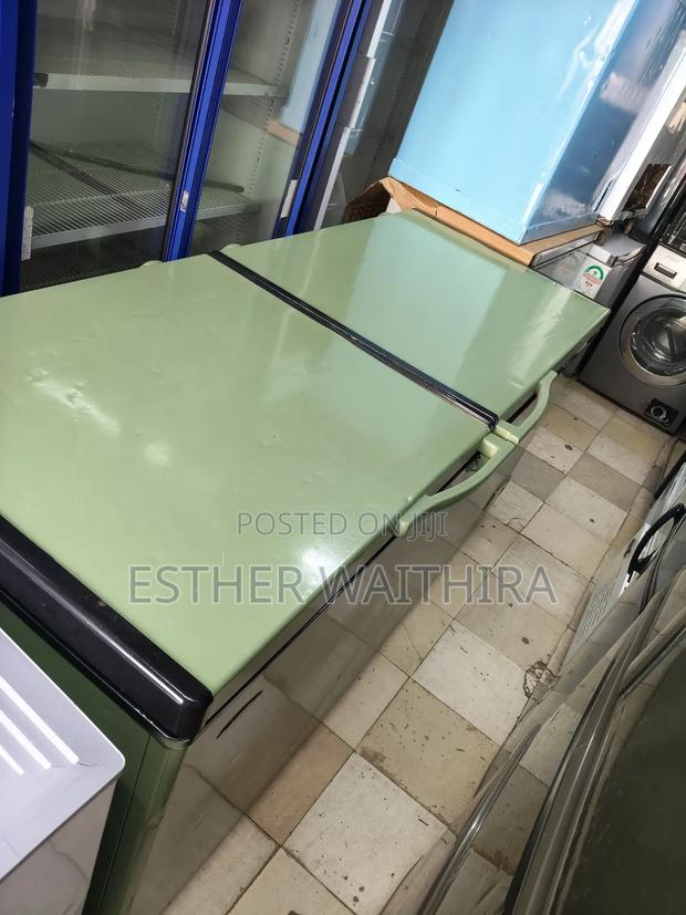 Jungle Green Commercial Double Door Deep Freezer on Sale