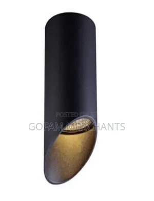 Spherical Black Ceiling Light