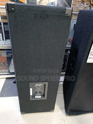 Peavey Pv 115 15 Inch Mid-Range Speaker
