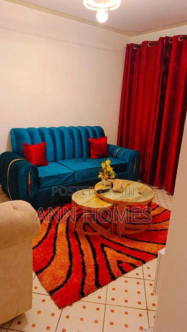 Air BNB Furnished - main view