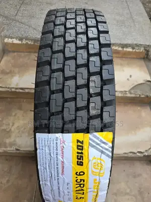 9.5 R17. 5 Lionlord Joyroad Tyres (Diff)