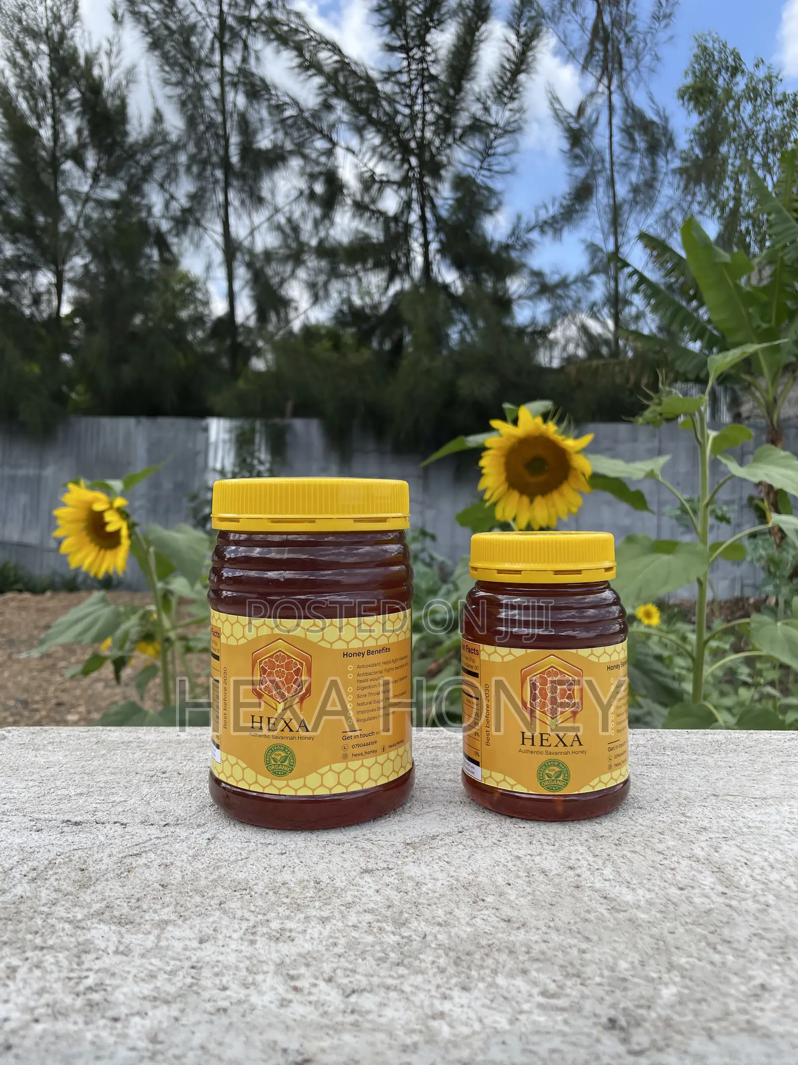 Authentic Hexa Honey