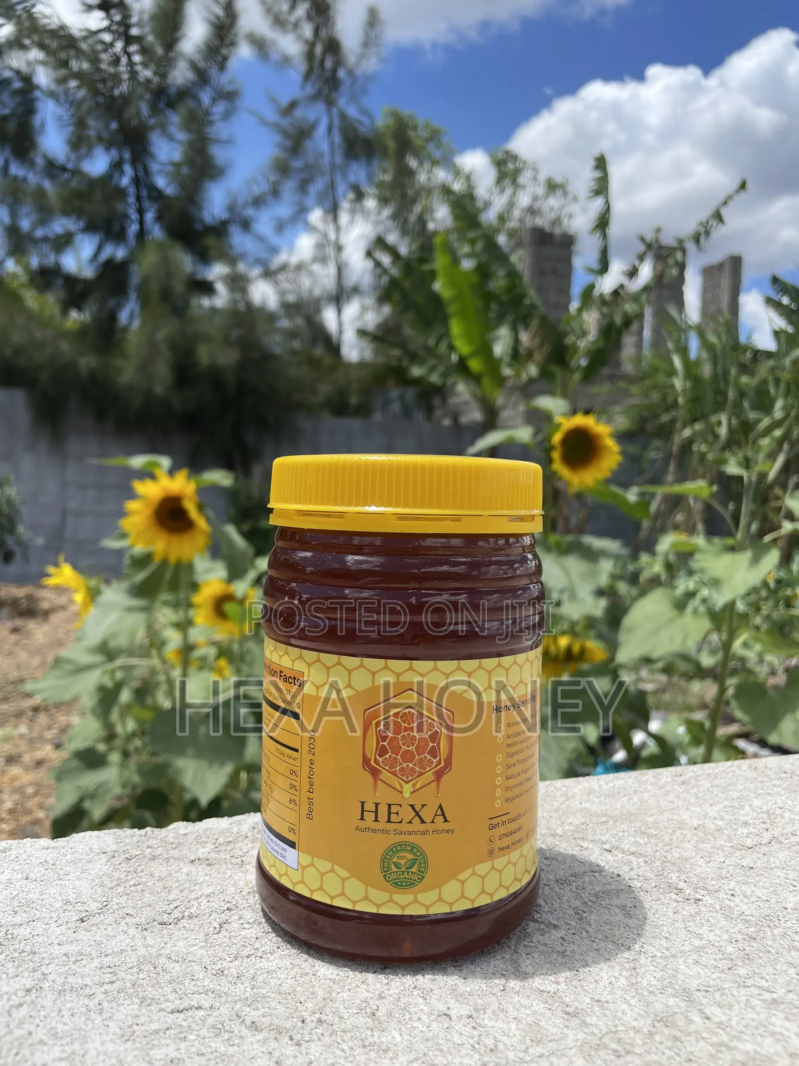 Authentic Hexa Honey