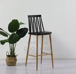 Home Bar Stool; Outdoor Plastic Designer Bar Stool With Painted Legs