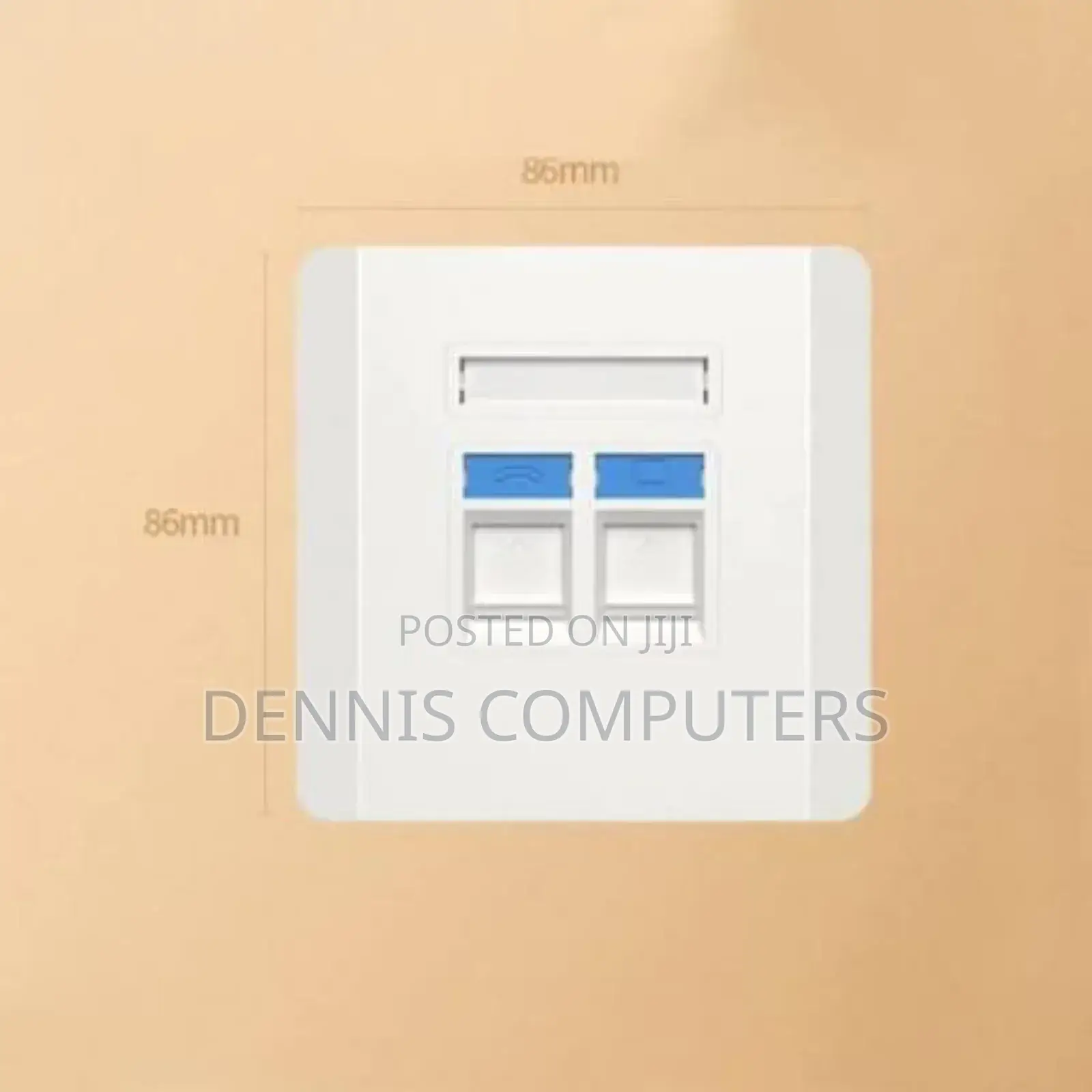 Ugreen Dual Port Wall Plate White