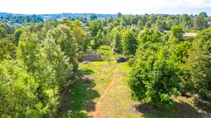 Prime Commercial Land At Gikambura