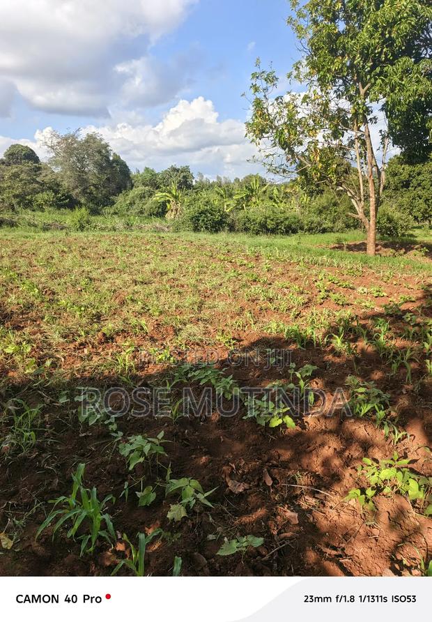 9 Acres at Sengani - main view