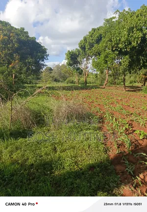 9 Acres at Sengani