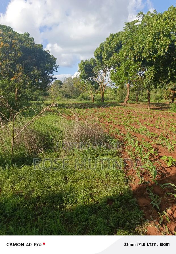 9 Acres at Sengani - thumbnail 4