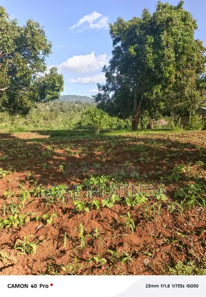 9 Acres at Sengani