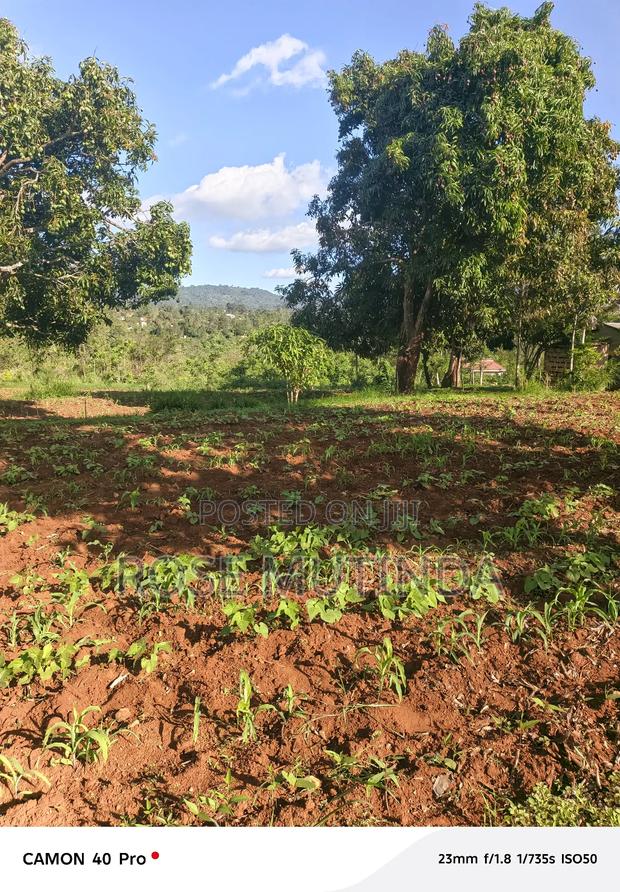 9 Acres at Sengani - thumbnail 5