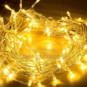 Outdoor Indoor Waterproof Fairy Lights With Timer and 8 Modes,