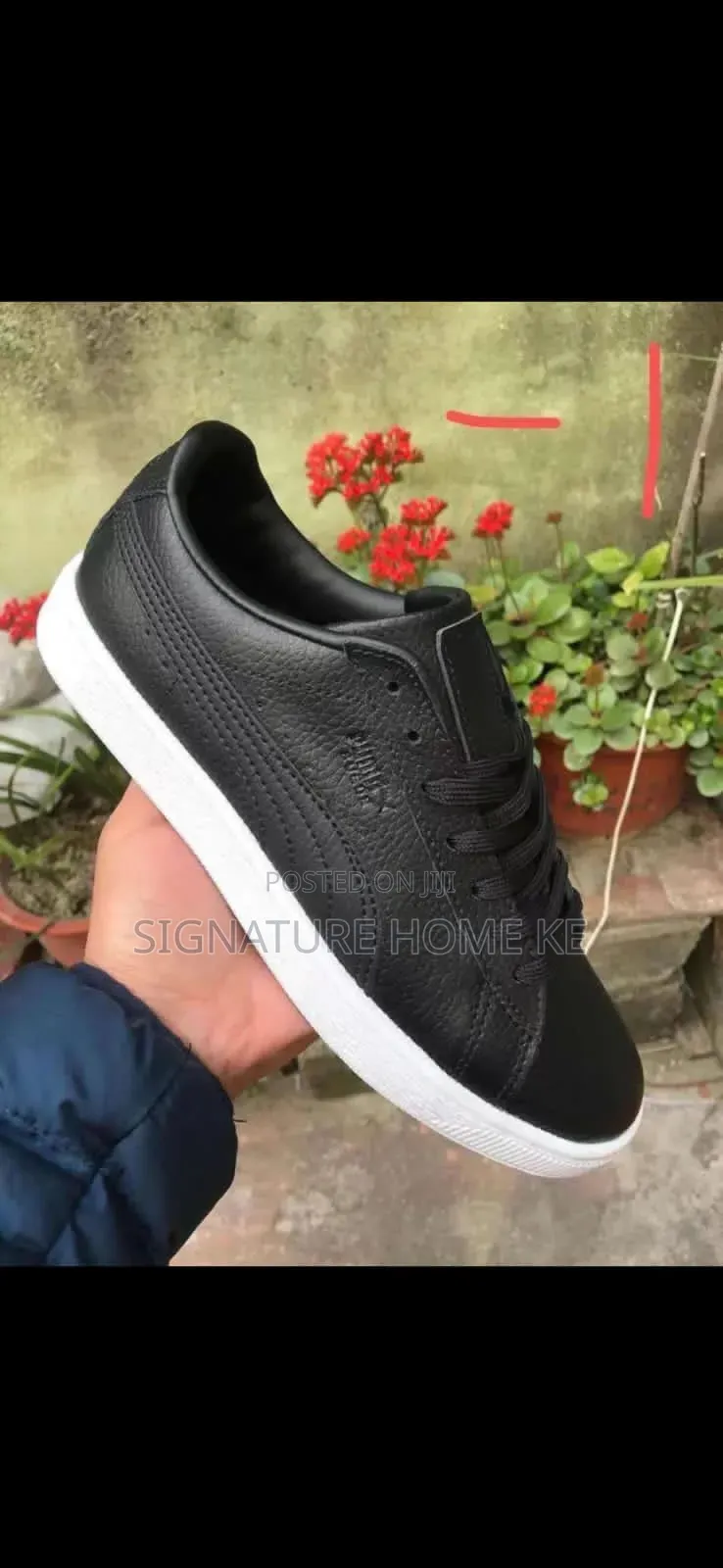 Puma Suede Shoes