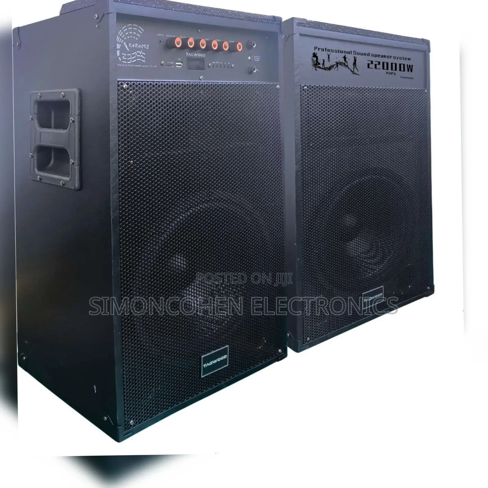 Tagwood 12d Speaker With Microphones