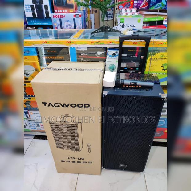 Tagwood 12" 12b Rechargeable Portable Speaker