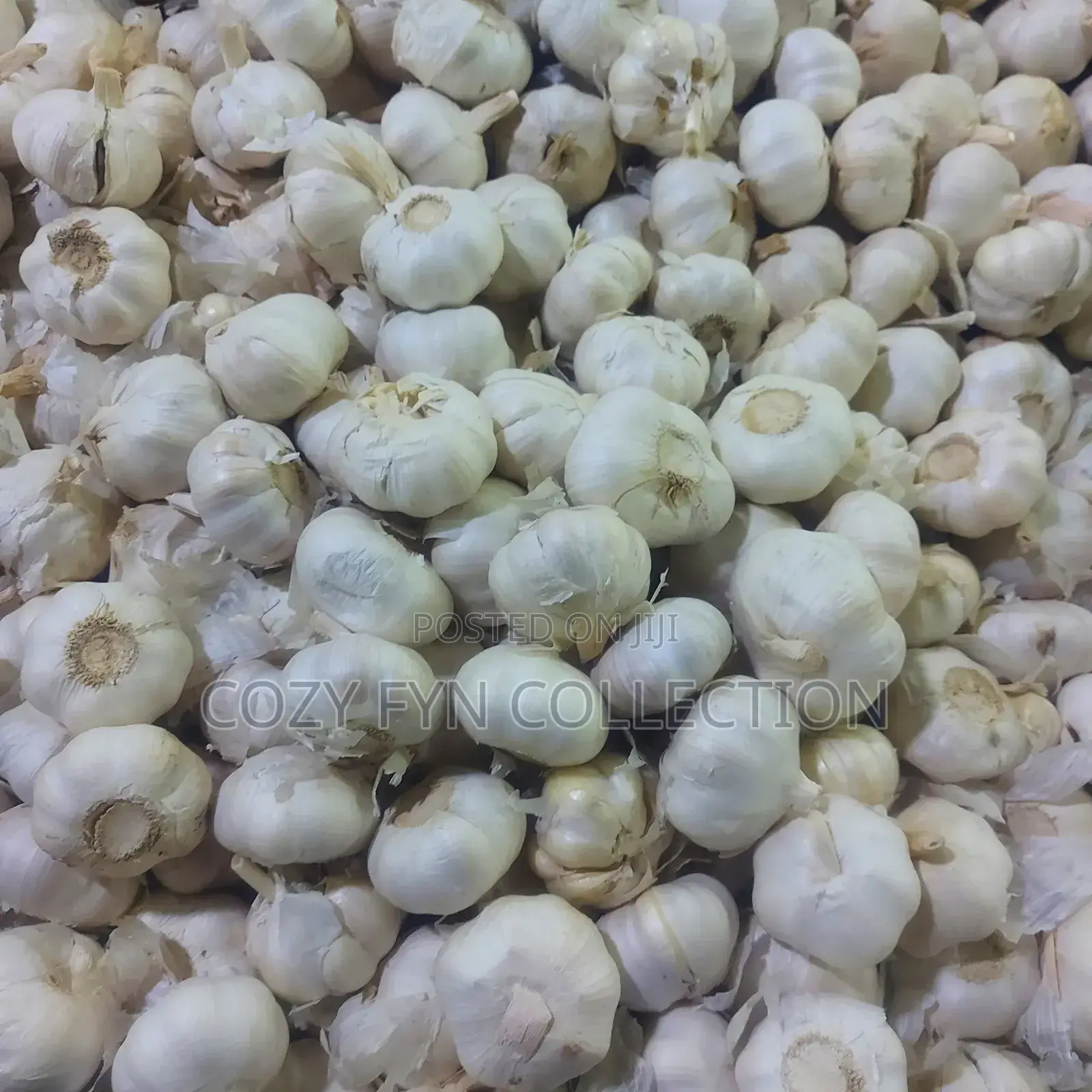 Local Garlic