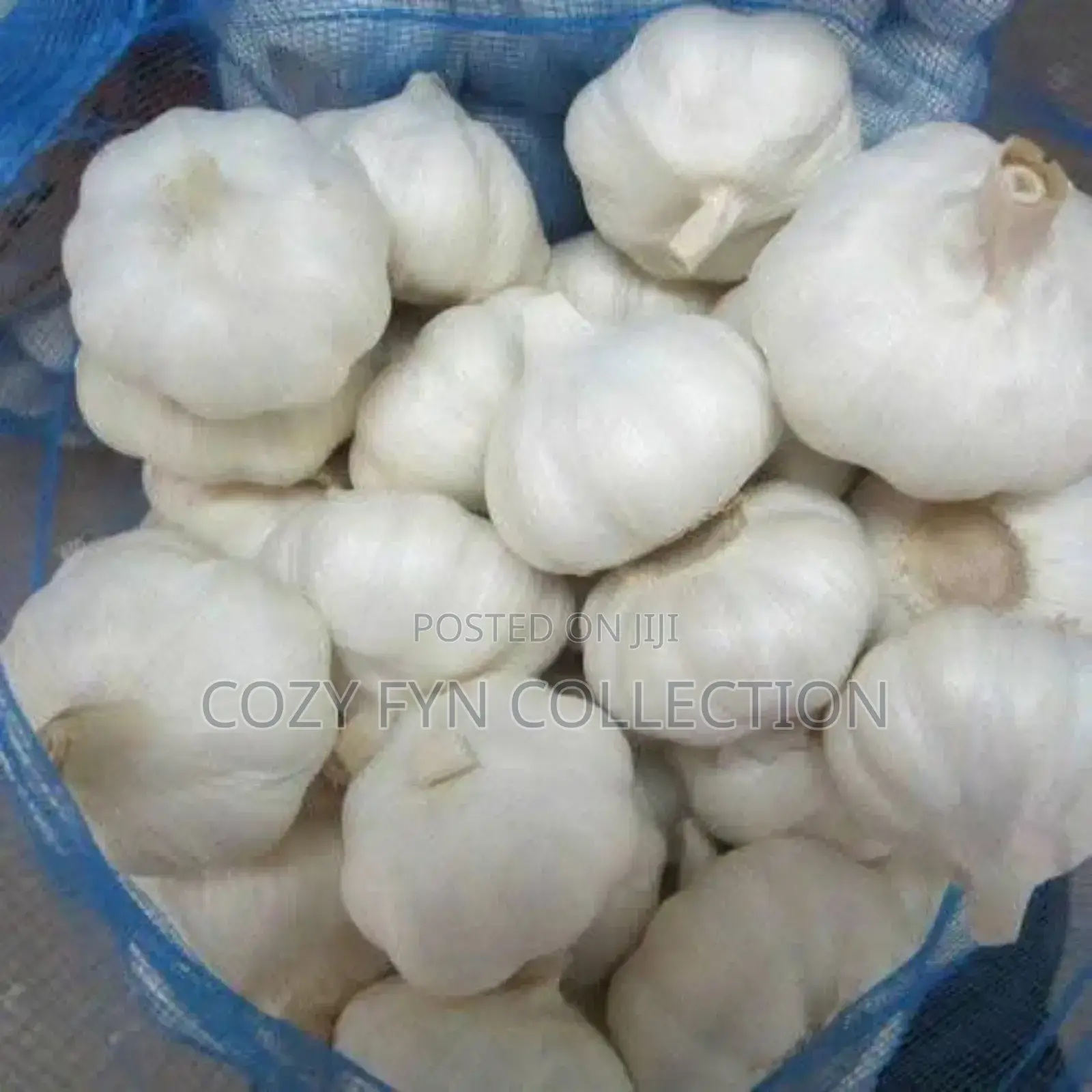 Imported Garlic 10kg