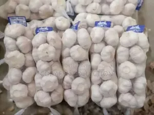 Imported Garlic 10kg