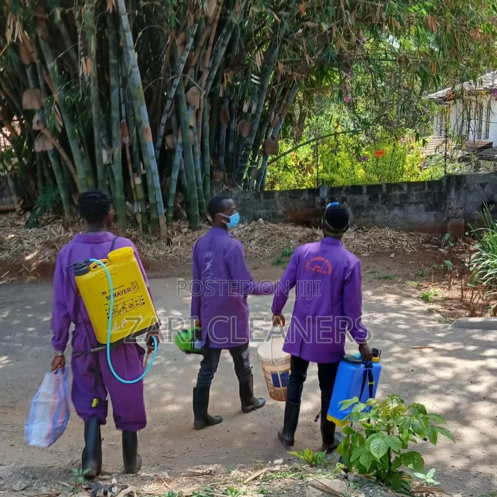 Fumigation Services Roach Baiting
