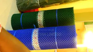 Plastic Chiken Wire / Chicken Mesh / Poultry Mesh 1mtr By 25mtrs