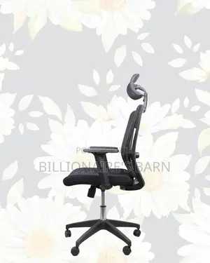 Breathable Mesh Chair For Long Hours | Ideal For Students Creatives