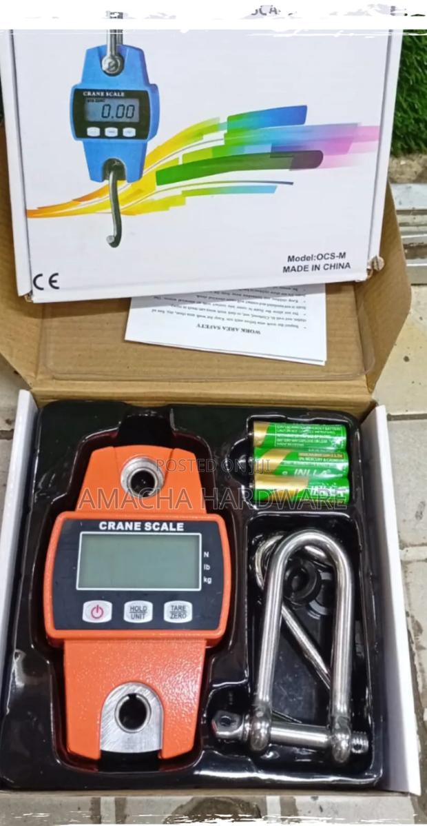 300 Kg Crane Scale - main view