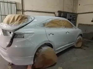 Car Spaying