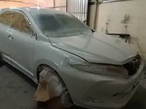 Car Spaying