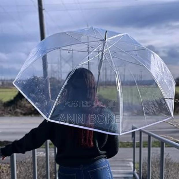 *Quality Transparent Umbrella A