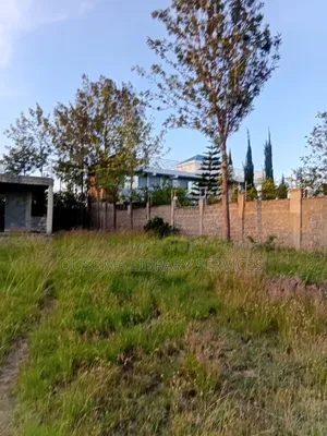 Developer's Dream: Unlock the Potential of Half an Acre in Chuna!