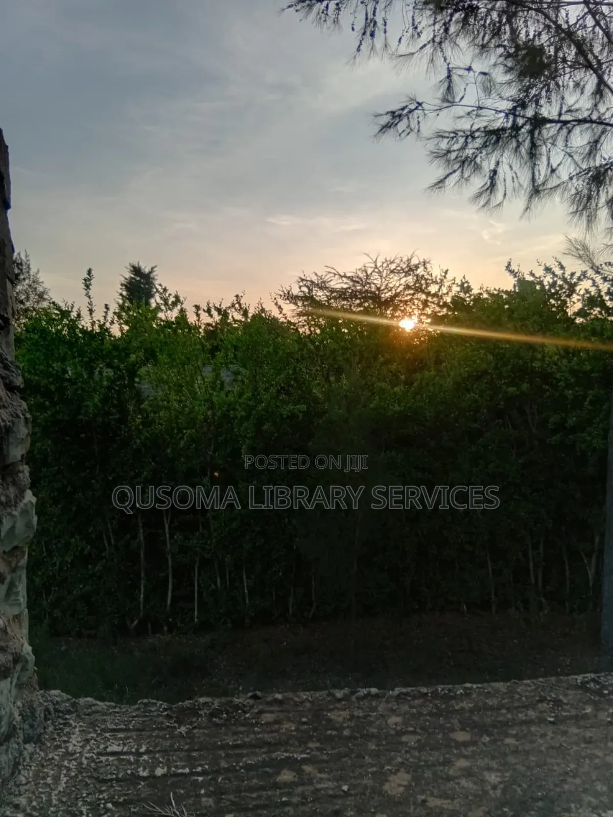 Developer's Dream: Unlock the Potential of Half an Acre in Chuna!