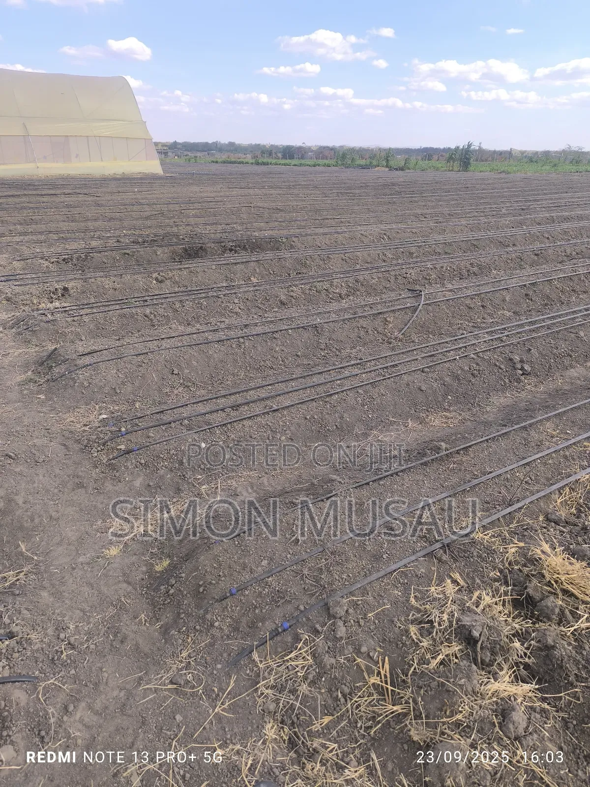 Dam Liner and Drip Irrigation